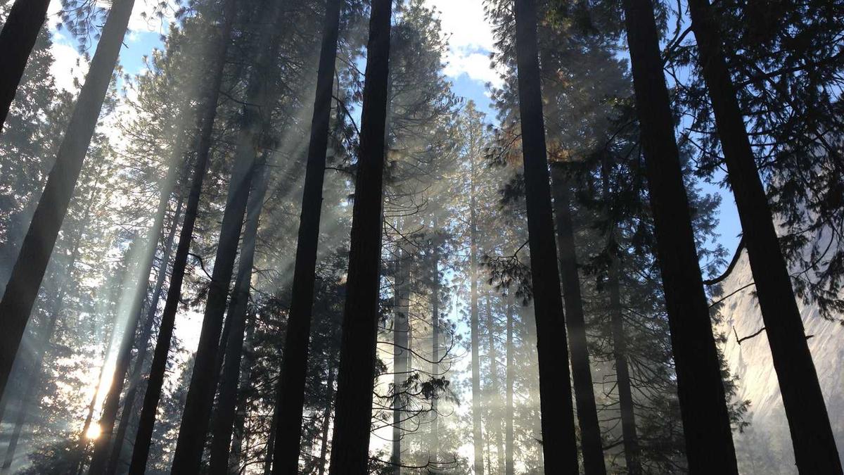 查一下明天的明天淮北天气预报有没有雨