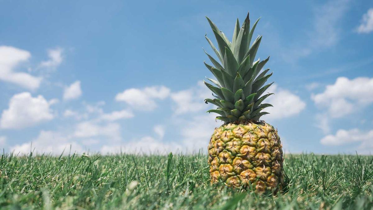 深圳个人车牌摇号怎么查询结果