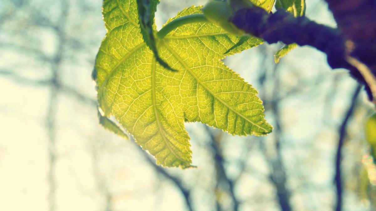 资阳环境科技职业学院正规吗