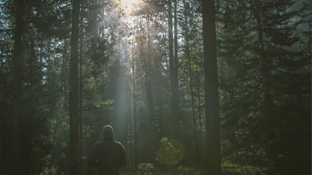 江苏省各市代码