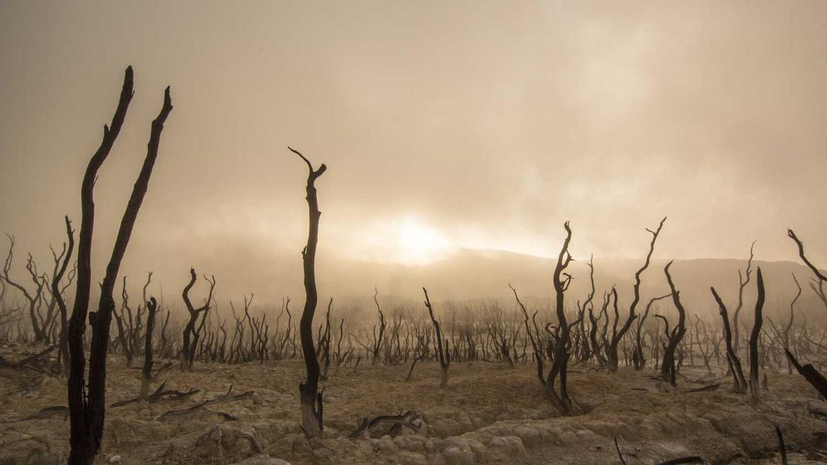 10月10日晚间公告精选