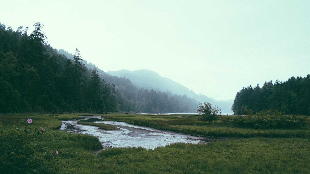 株洲至常德高铁时刻表