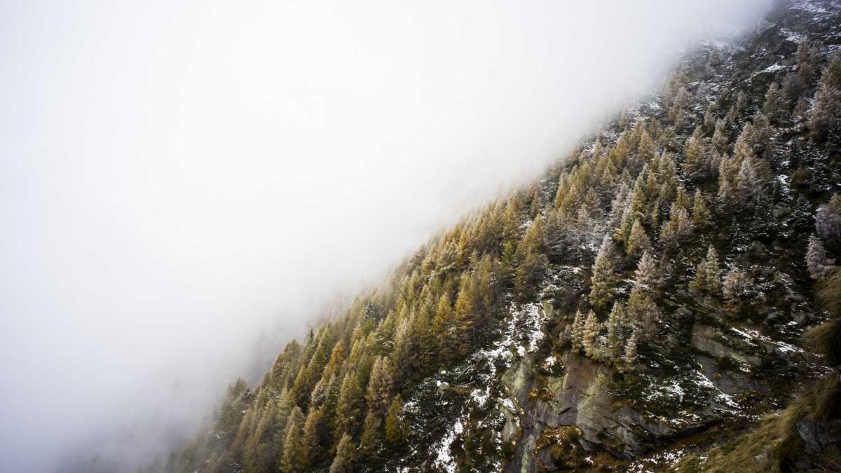 通辽市开鲁县2025年中小学教师高级专业职称评审通过名单