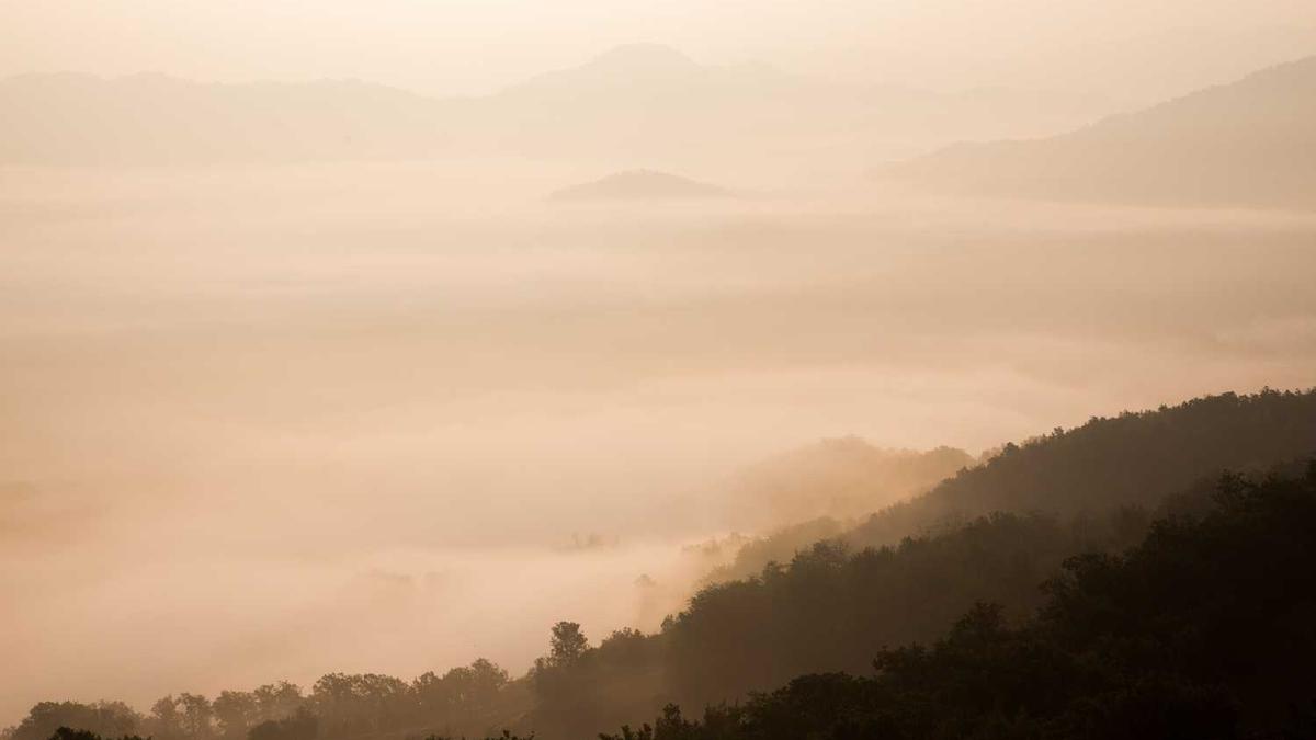 25年安徽宣城省考录取名单