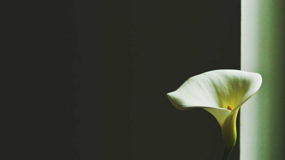 河南漯河天气预报15天适合穿什么衣服