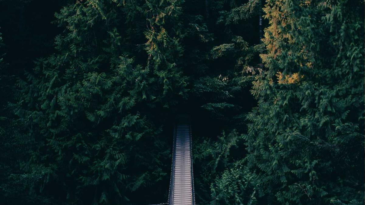 龙岩市分几个区县