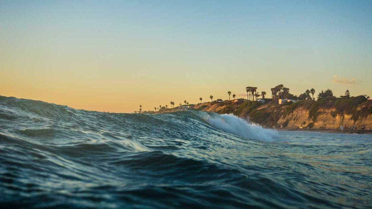 随州博物馆历史沿革