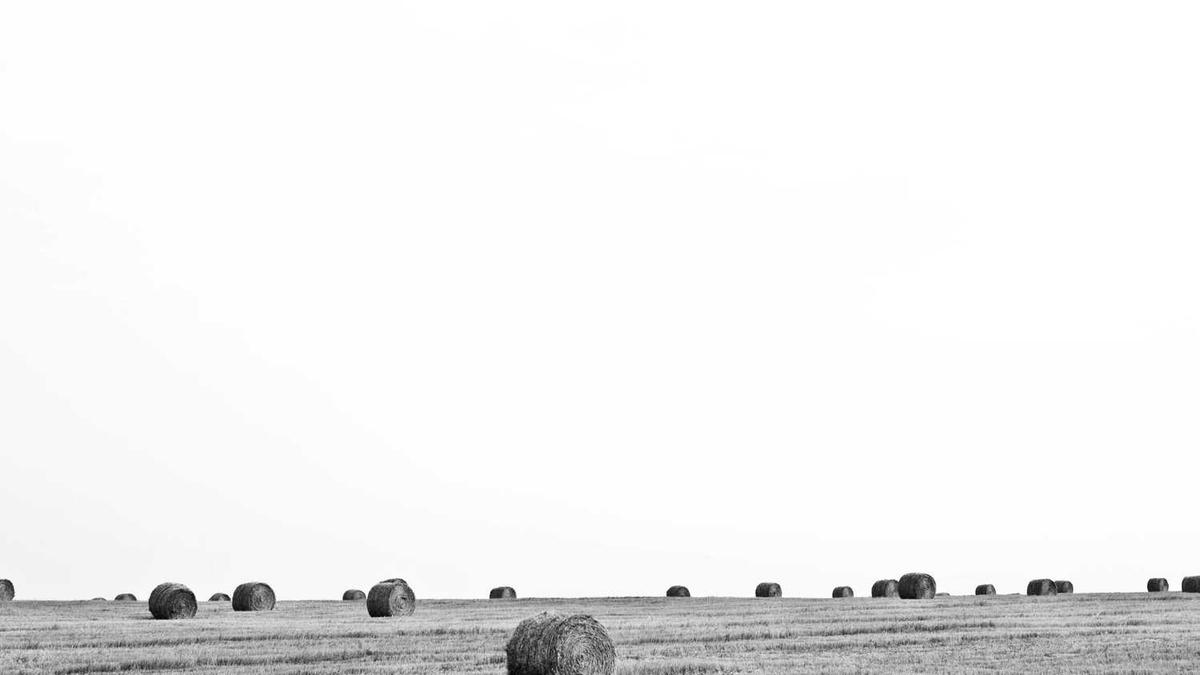 赣卅地区天气预报未来七天天气预报