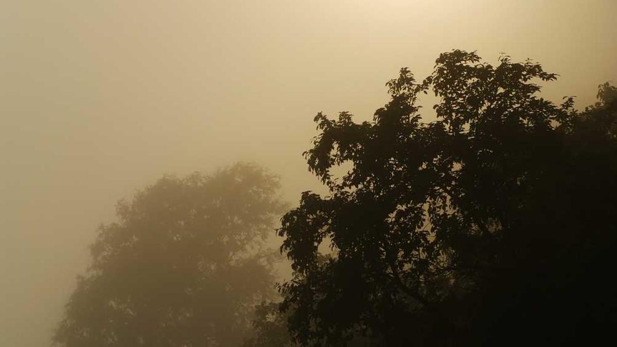 豆饼老太豆饼老太拣钱案反思