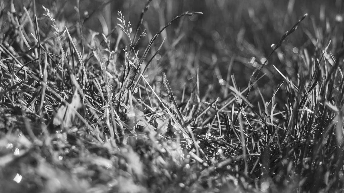 中国十大口碑最好的航空公司,厦门航空上榜,第四航班正点率第一_百度知...