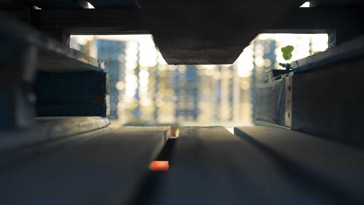 温州一医老院地址