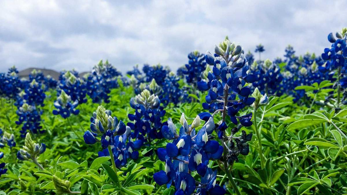 贵港人才网的优势