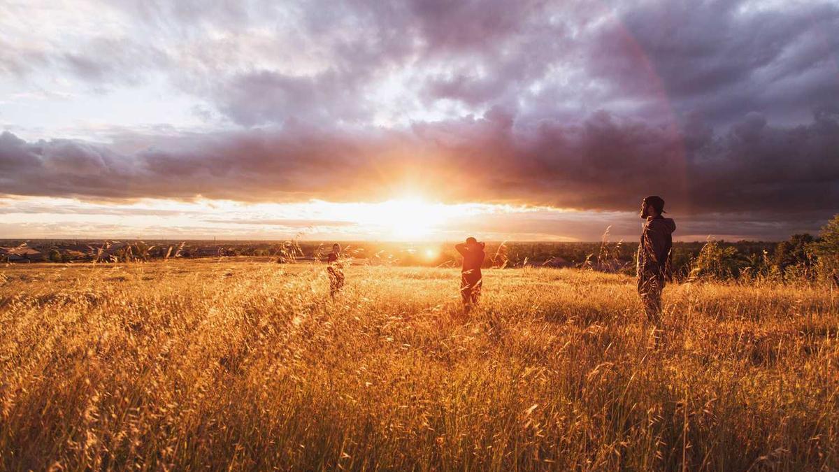 山东聊城市的本周天气