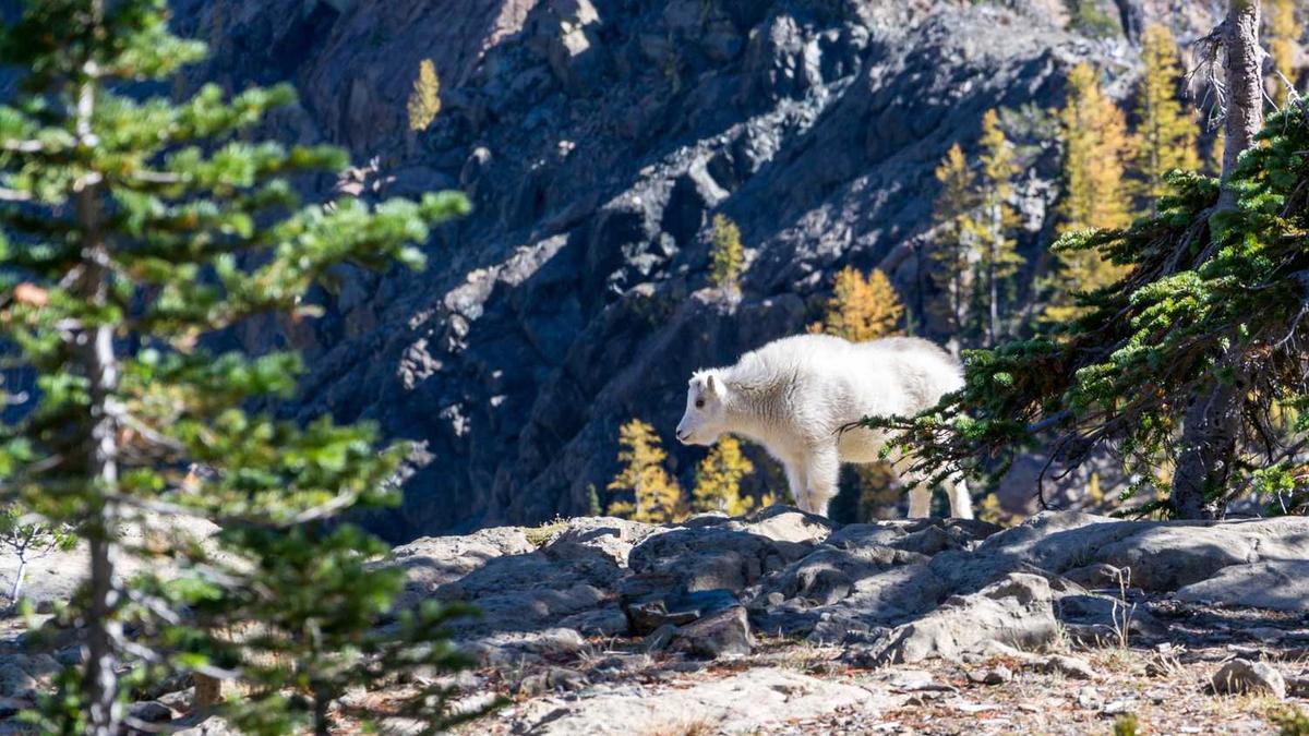 牡丹江机场为什么叫海浪机场