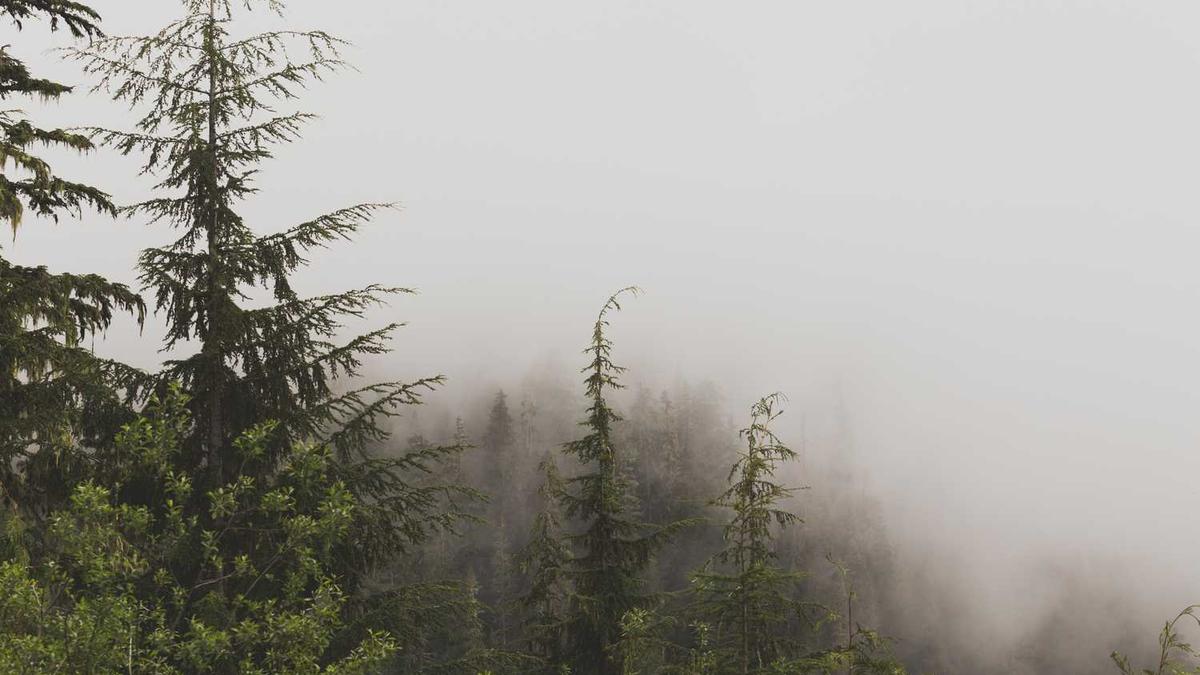 胡仕林中睿智大运河项目详情介绍