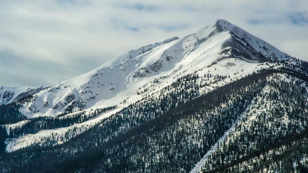 中学校园艺术节活动启动方案