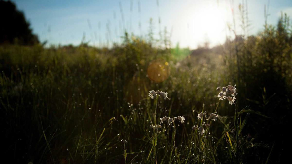 马安山师范专科高等学校滨江校区怎么样