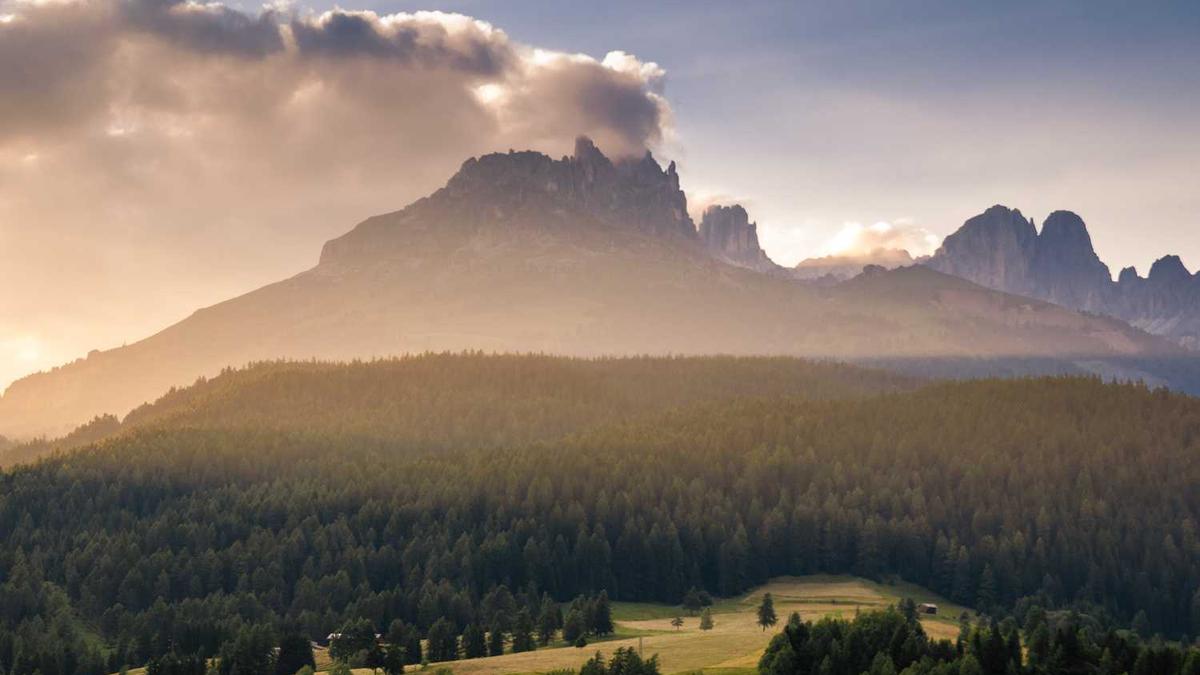 和小姐全程DT,要去检查吗