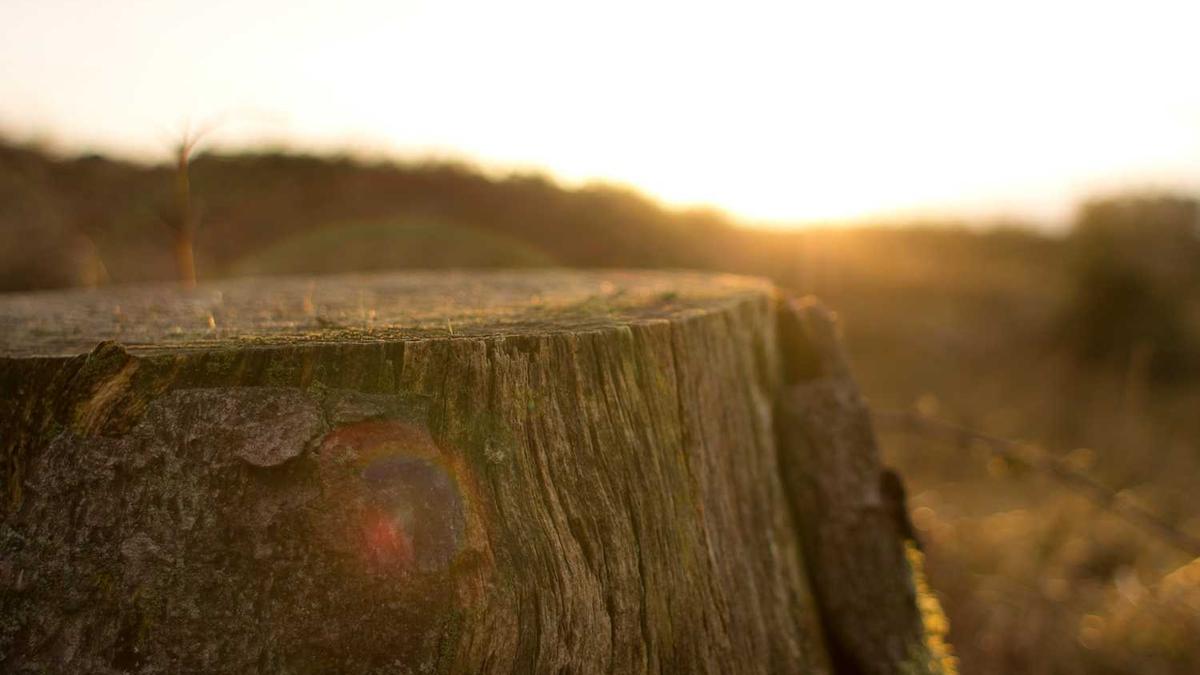 苏州和淮安是同一个省的吗?