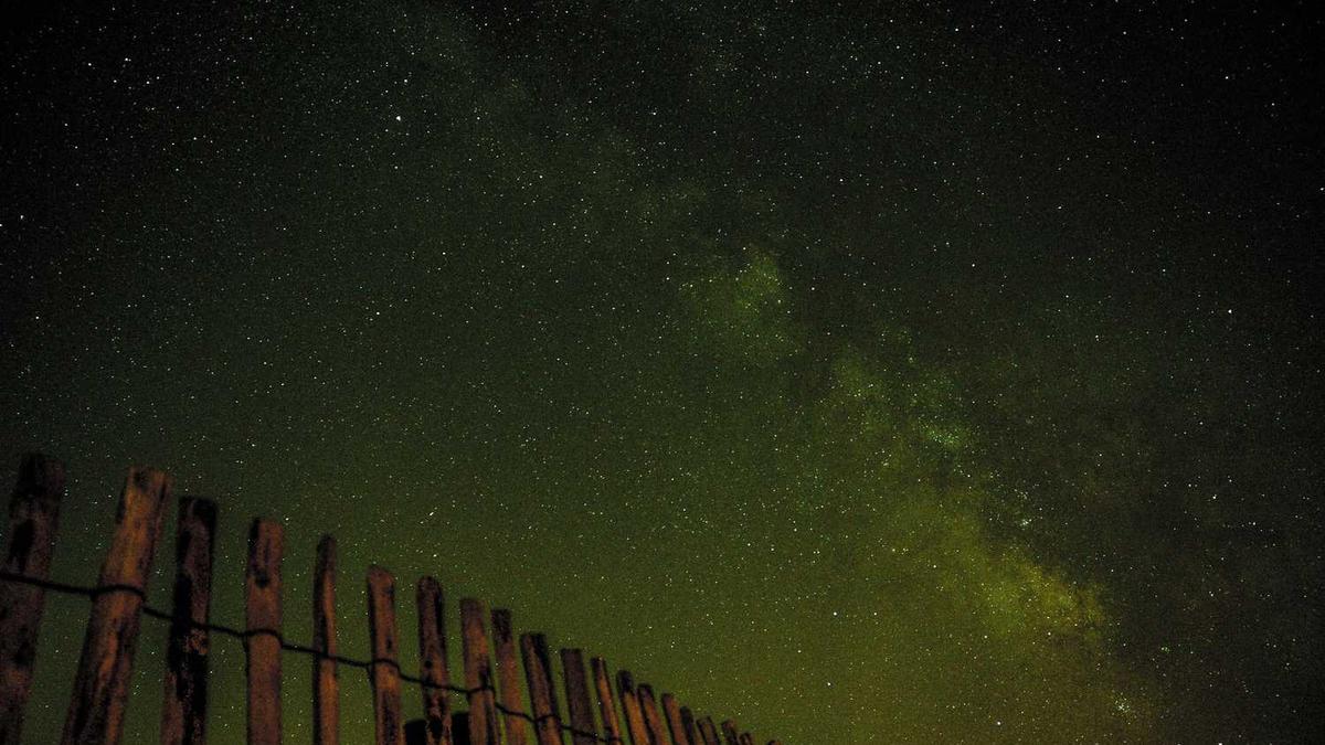 东营志愿者登录入口注册流程