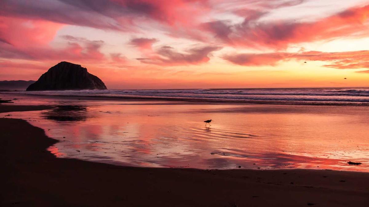 济南绕城高速免费路段是哪里
