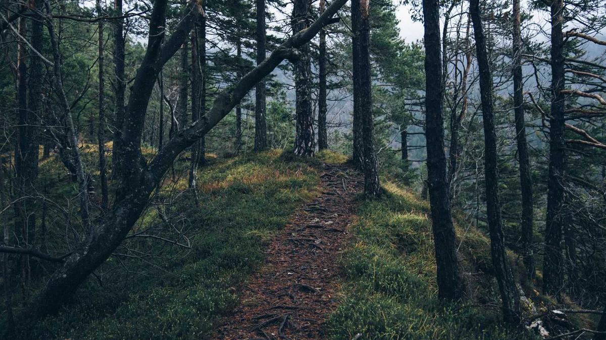 从石家庄市到东北省白城市,高速公路怎么走??高速路地图