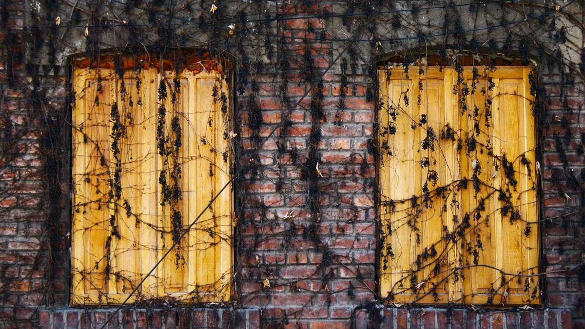 感谢老师的感谢信