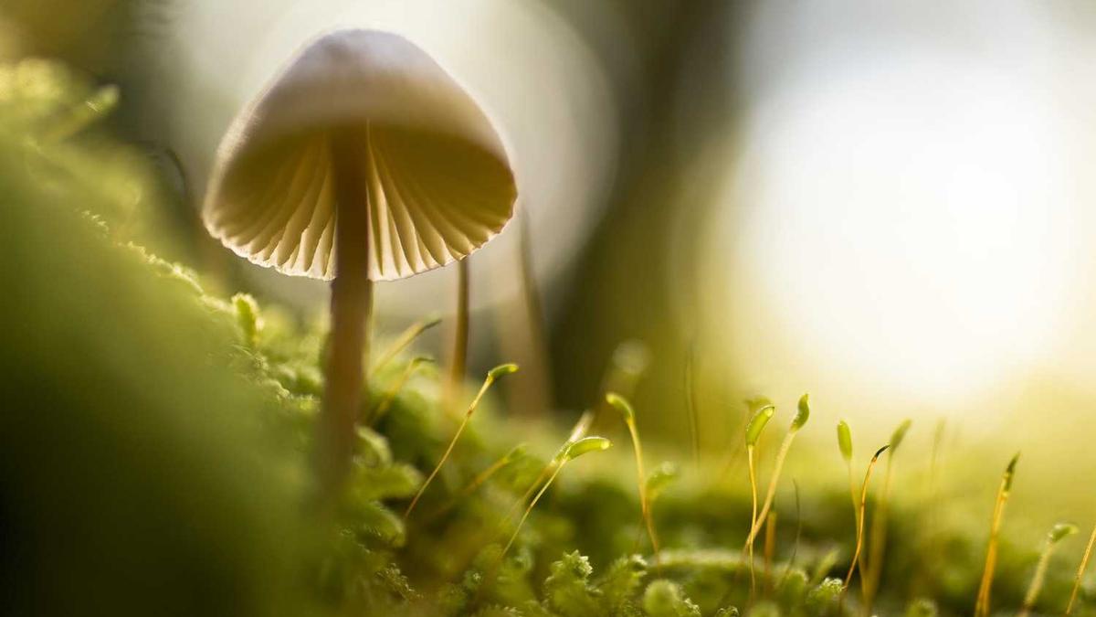 黑龙江多地遭遇暴风雪具体什么情况 此次寒潮天气有何特点