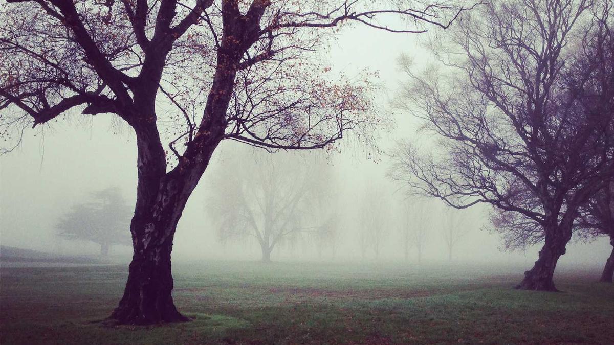 微信头像支持对人单独设置么