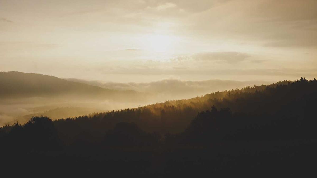 四会是属什么城市 四会属于哪个市