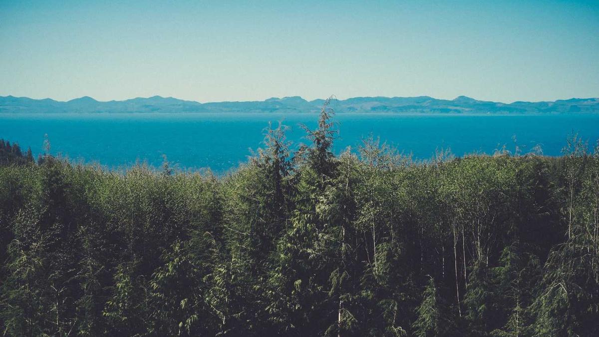 打造党建“共同体”“党建和创”活动共促发展