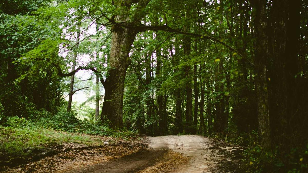 上海普通住宅为什么写公寓?