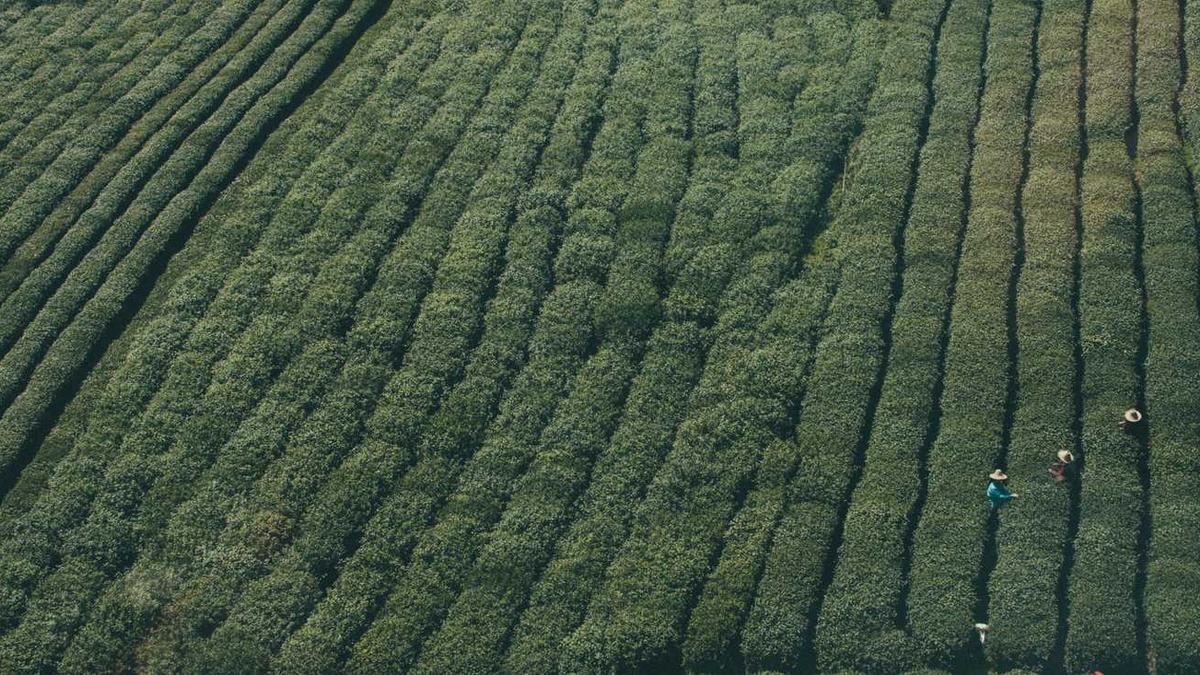 黄山市徽州区人力资源和社会保障局经办机构