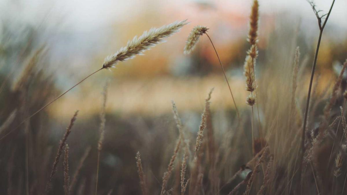 淮安嗨麦科技有限公司扣费69是