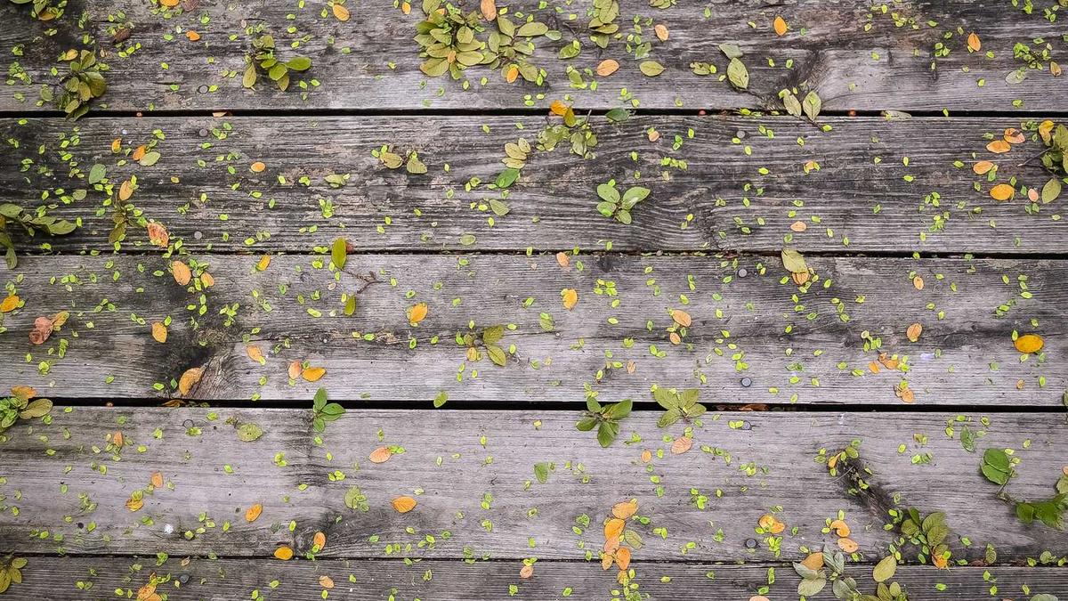 今早青岛最低温1℃!今日冷空气将结束 最高17℃!