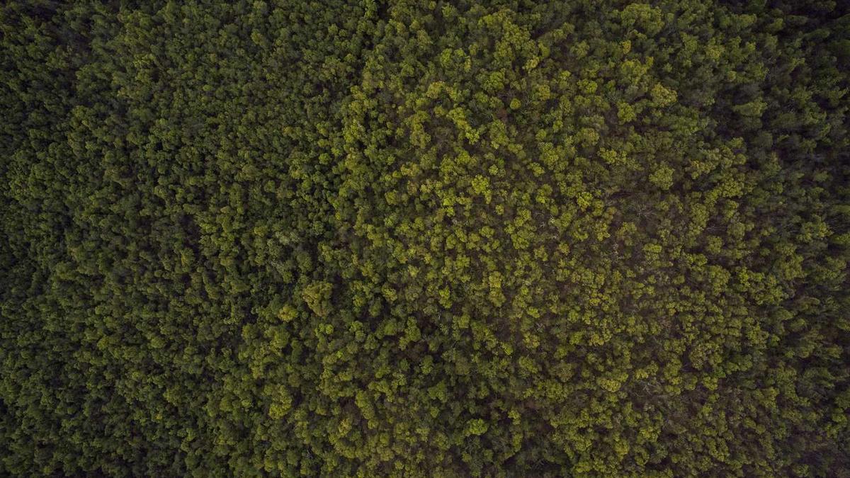 硒真的是人体必需能量吗?广西富硒米多少钱一斤,营养价值有多高?_百度...