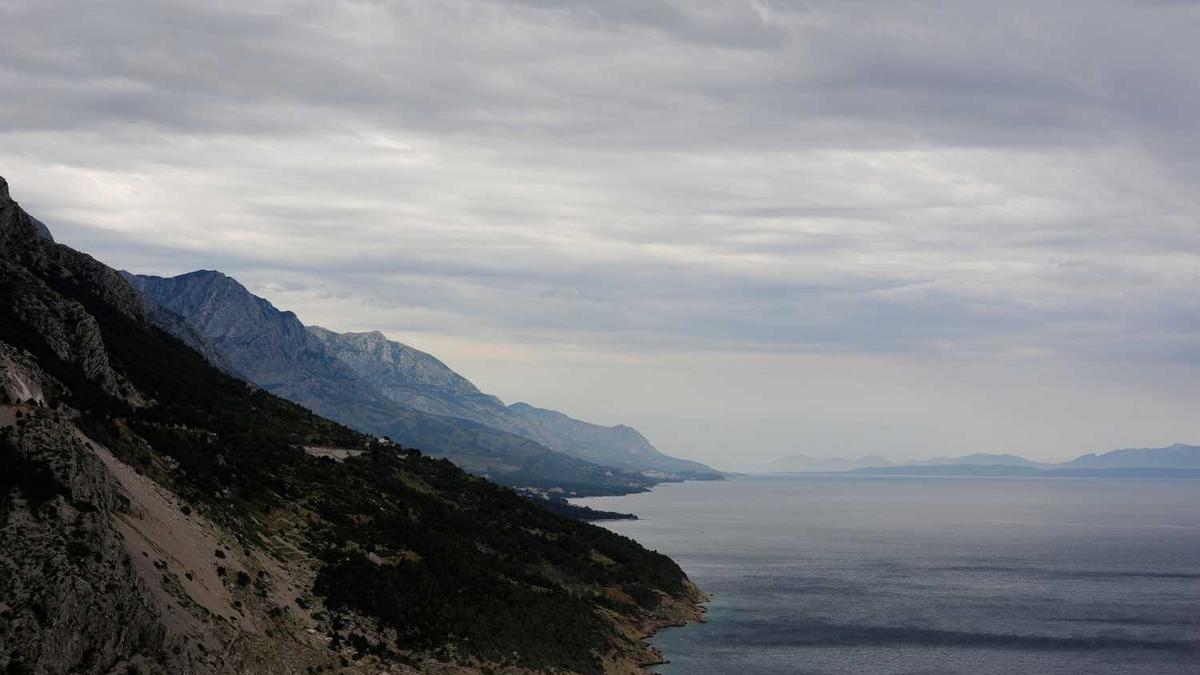 山东有几家山姆