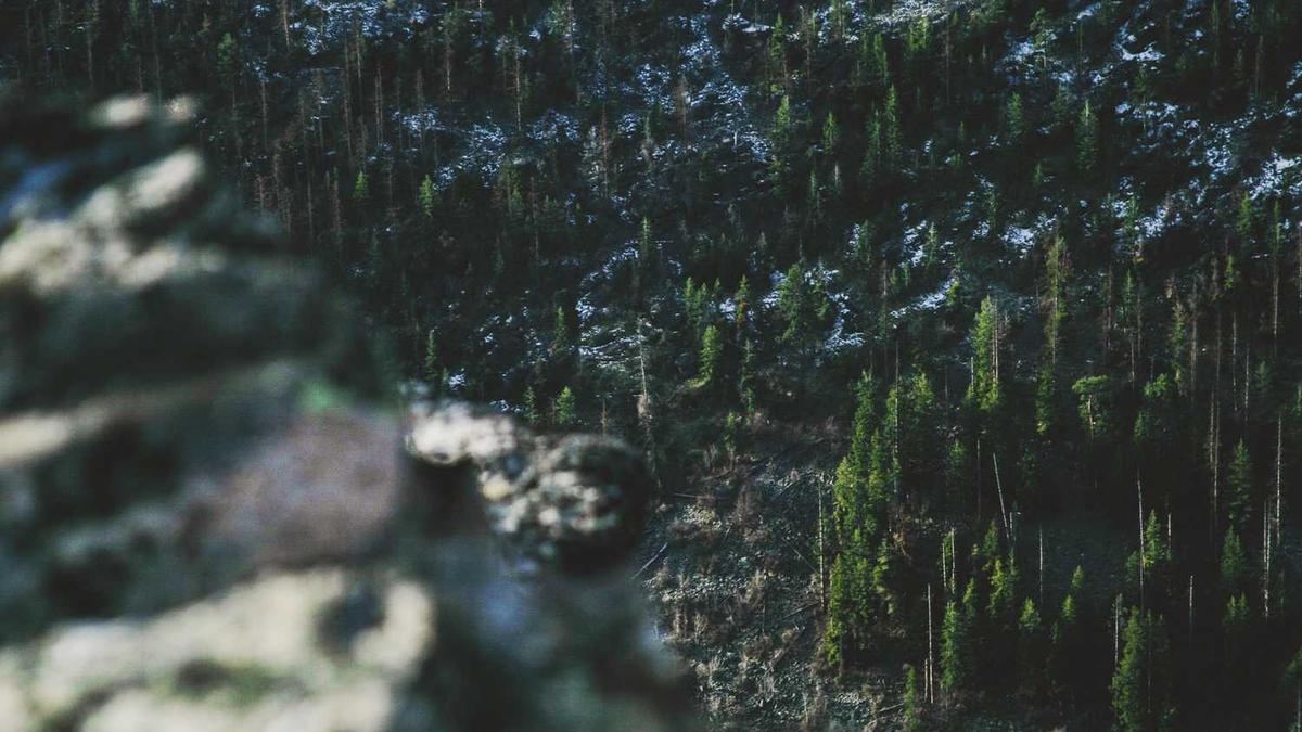 亿泽湾科技(珠海)有限公司怎么样