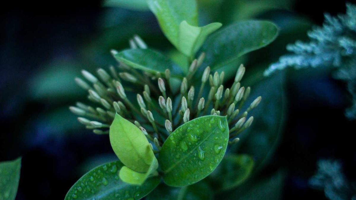 全国多个地区拆除违规猪棚,产量减少了,猪肉会涨价吗?