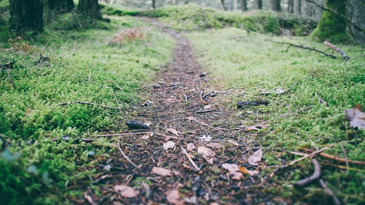 太原尖草坪区将建15个口袋公园,“城市绿肺”无疑!