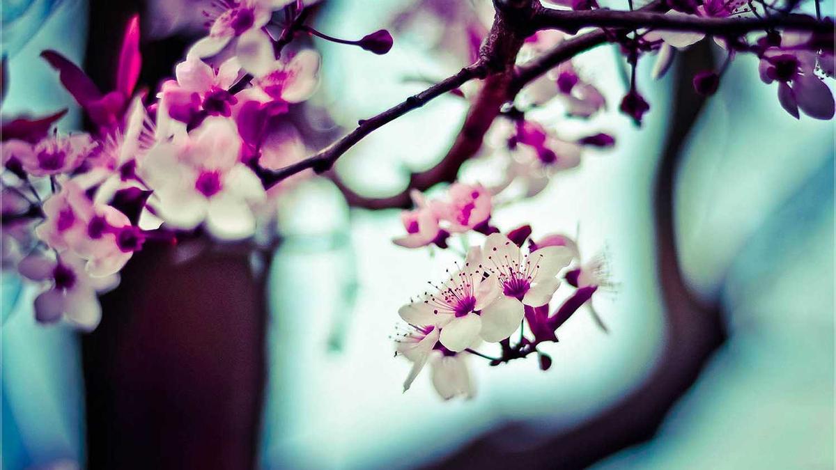 湖南城市排名gdp