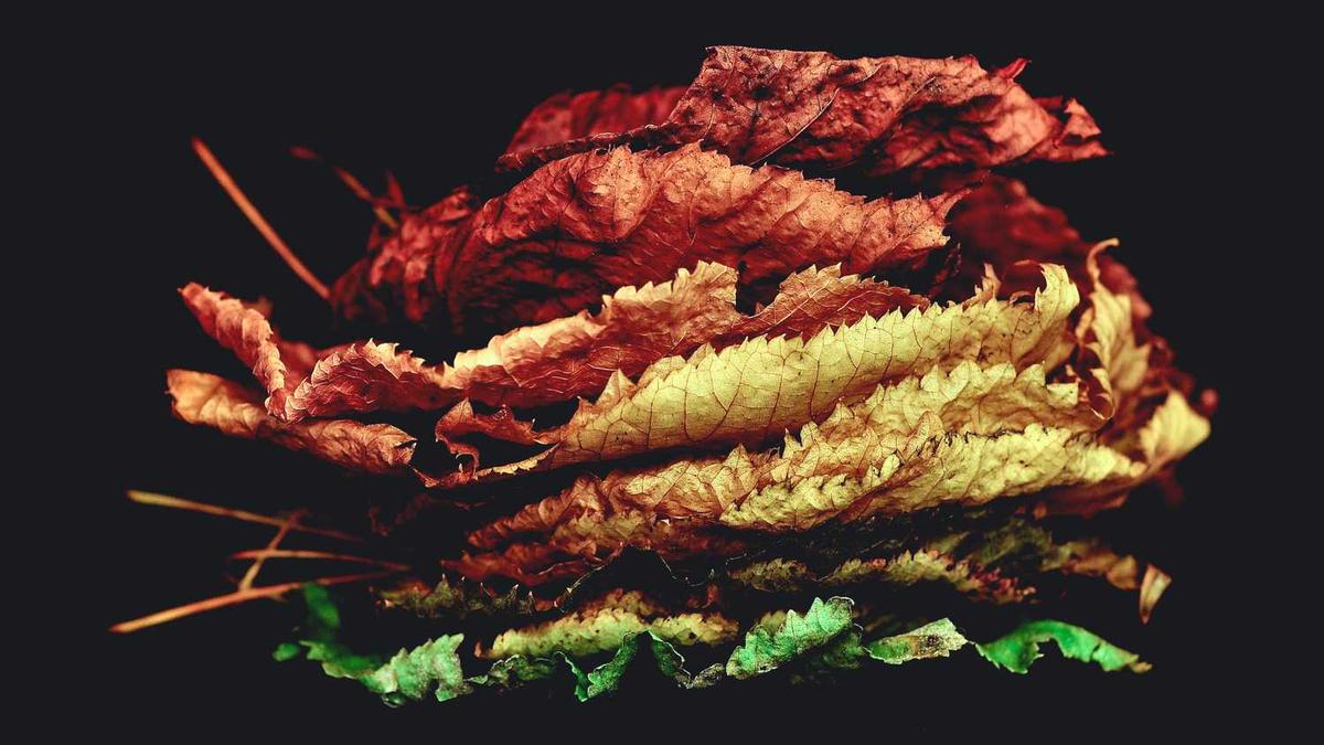 一般情况3d顺子号出了会出啥号