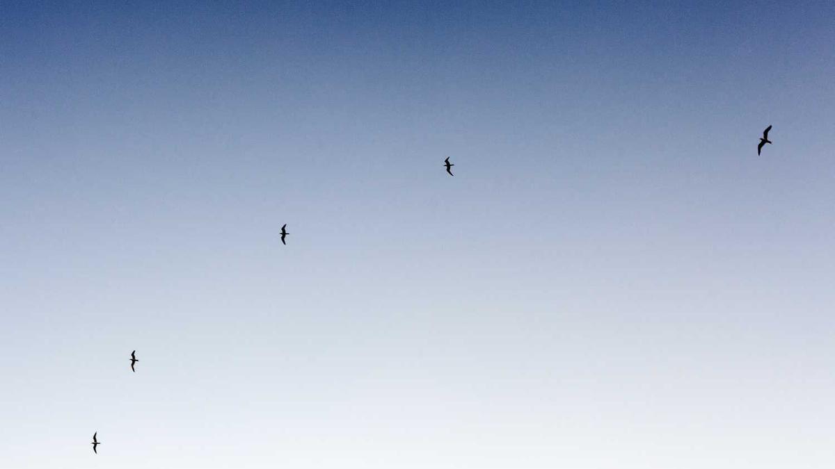 乐山必去4个景点