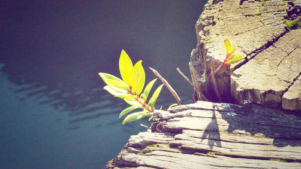 安庆太湖出了哪些名人