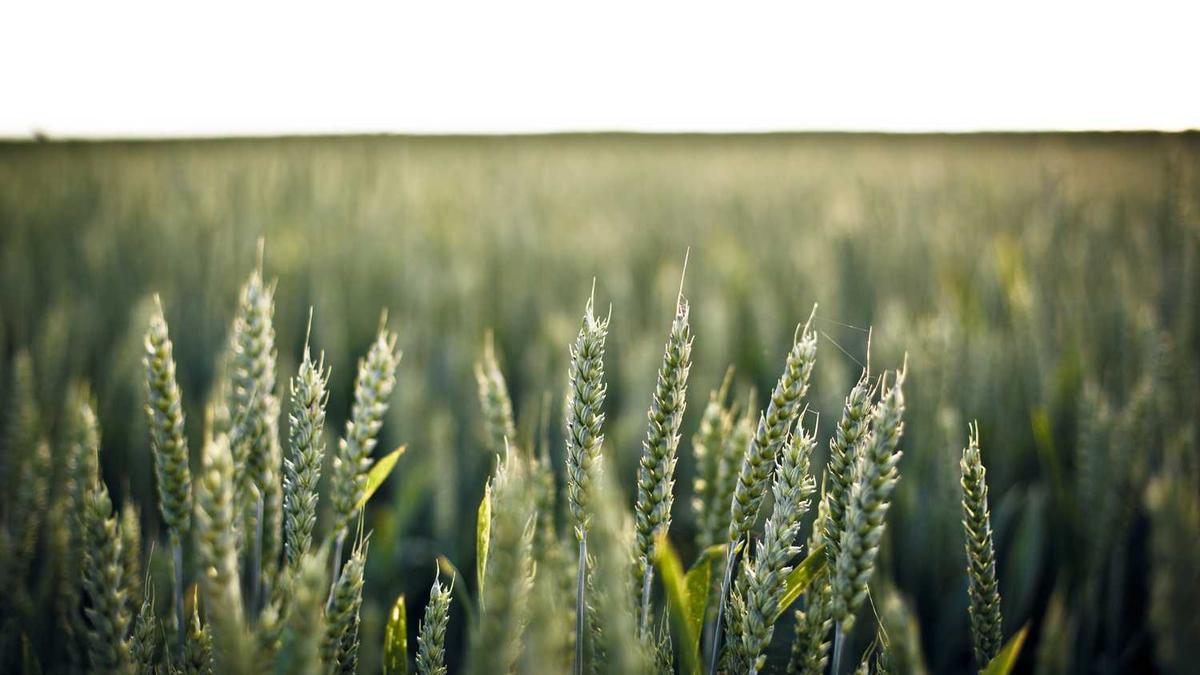 深圳指数是什么意思?有什么作用?