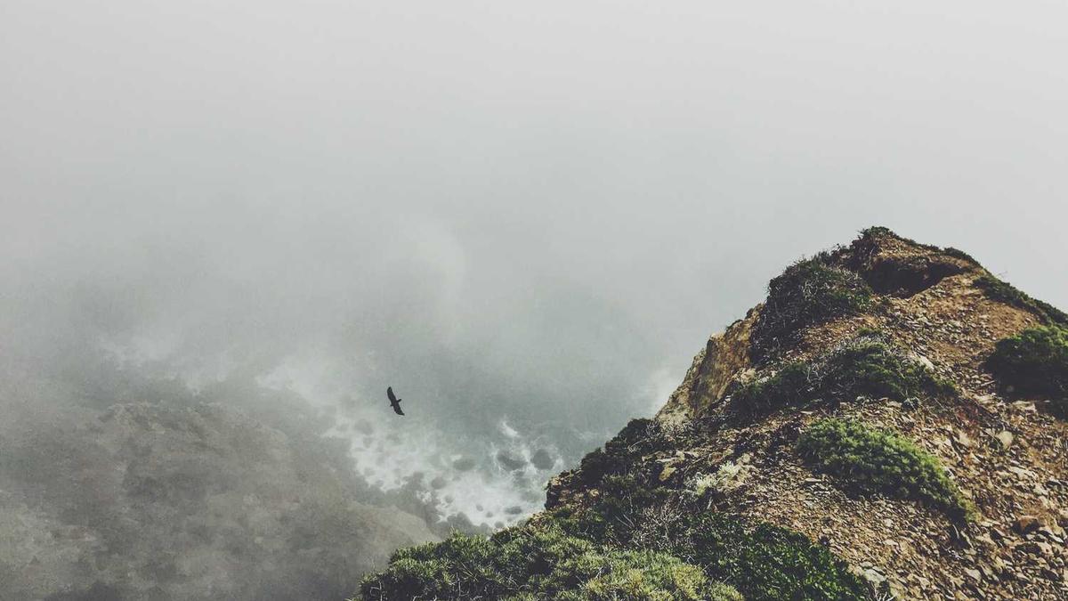 荣成樱花什么时候开 2020荣成樱花嘉年华活动攻略