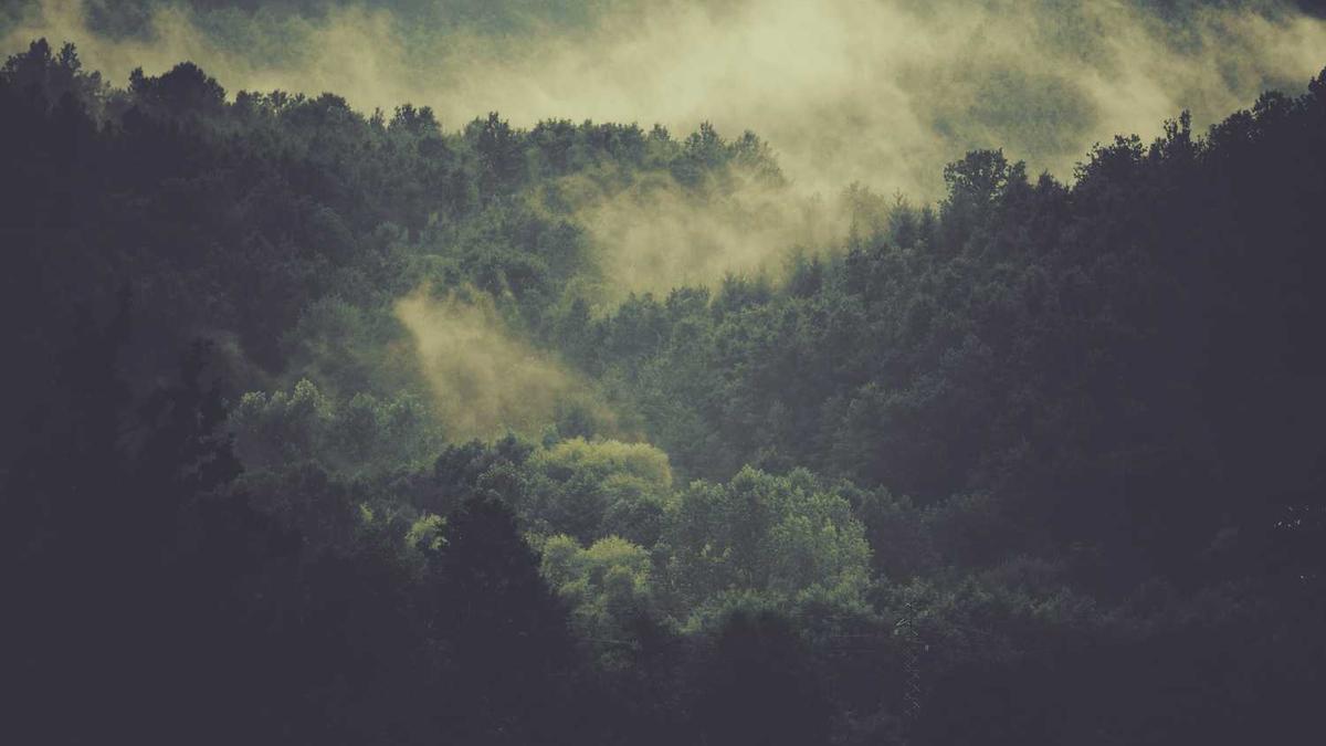 个人道德模范先进事迹材料5篇