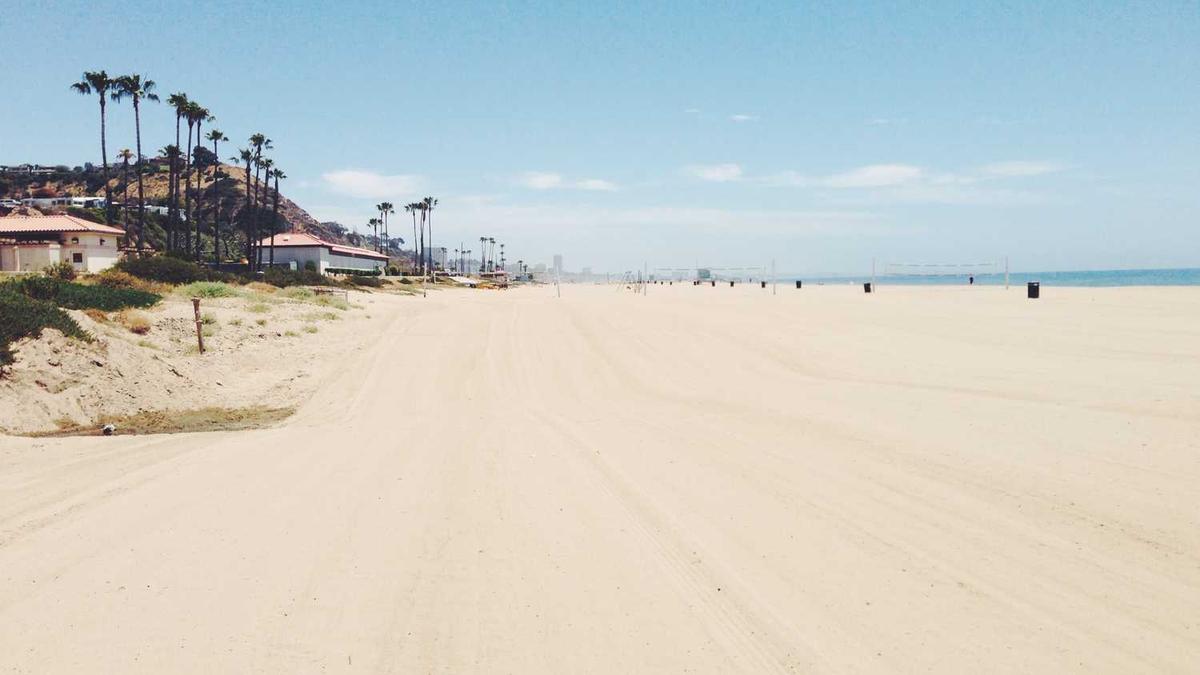 铁岭市养犬管理条例