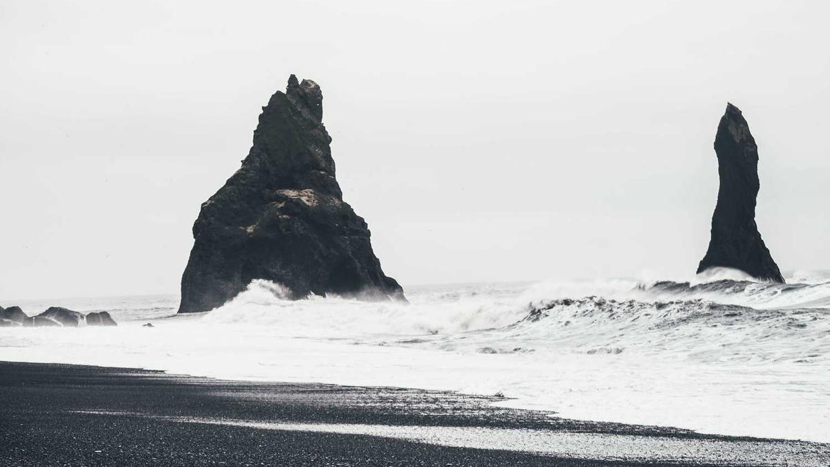 铁岭市银州区对养狗不拴绳有什么对策,