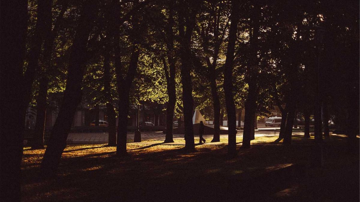 莆田网约车必须是轿车吗